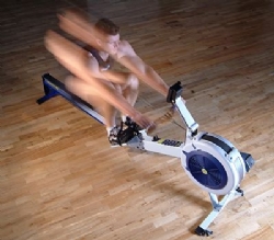 guy rower blur hardwood